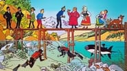 Tintin et le lac aux requins wallpaper 