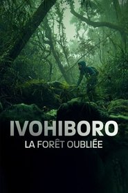 poster Ivohiboro, la forêt oubliée