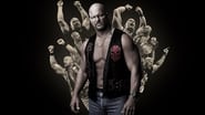 Stone Cold Steve Austin: The Bottom Line on the Most Popular Superstar of All Time wallpaper 