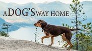 Backdrop of A Dog's Way Home image size 1280x720