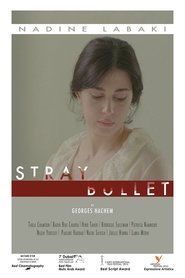 Poster of Stray Bullet image size 960x1440