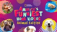 America's Funniest Home Videos: Animal Edition  