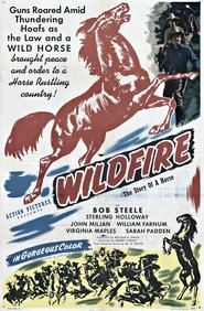 poster Wildfire