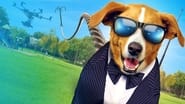 Agent Toby Barks wallpaper 