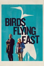Birds Flying East Poster