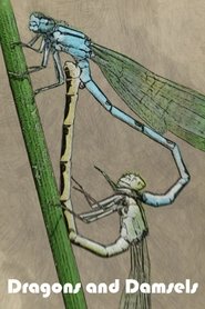 Poster of Dragons and Damsels image size 500x750