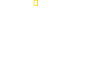 Logo of Drugs, Inc. image size 1861x1298