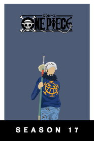 One Piece: Dressrosa Arc (2)