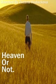 Heaven Or Not