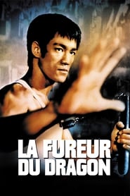 Voir film La Fureur du dragon en streaming