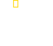 Logo of Dr. T, Lone Star Vet image size 1258x1078