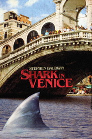 Sharks in Venice