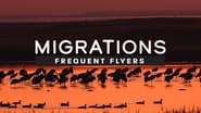 Migrations: Frequent Flyers wallpaper 