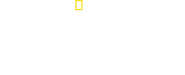 Logo of Kingdom of the Polar Bears image size 1920x777