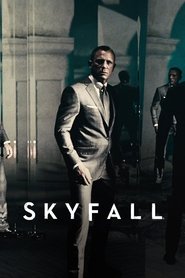 Poster of Skyfall image size 1000x1500