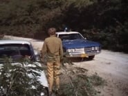 Hawaï police d'État season 2 episode 20