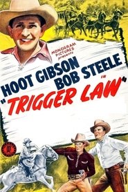 poster Trigger Law