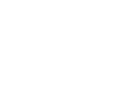 Logo of Wild Little Love image size 706x538
