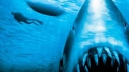 Les Dents de la mer 4 : La Revanche wallpaper 