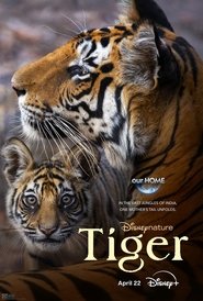 Poster of Tiger image size 1688x2500