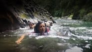 La course la plus dure du monde : Eco-Challenge Fidji  