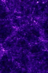 NAVE poster