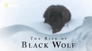 The Rise of Black Wolf wallpaper 