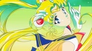 Sailor Moon S - Le Film wallpaper 