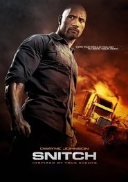 Poster of Snitch image size 812x1160