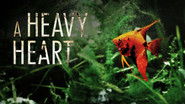 Backdrop of A Heavy Heart image size 1280x720