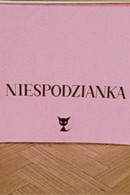 The Surprise poster
