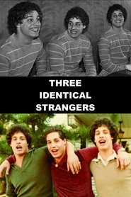 Poster of Three Identical Strangers image size 1000x1500