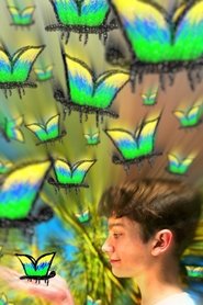 poster My Fascination With The Butterfly Effect