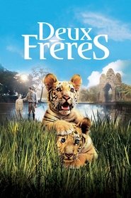 Voir film Deux Frères en streaming