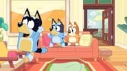 Bluey season 2 episode 20