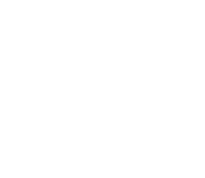 Logo of Turkish Tiger image size 620x539