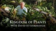 Backdrop of Kingdom of Plants image size 1920x1080
