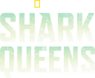 Logo of Shark Queens image size 2626x2160