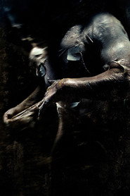gallery-thumbnail
