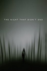 Poster of The Night That Didn't End image size 1920x2880