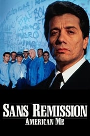 Voir film Sans rémission en streaming