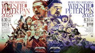 Backdrop of DDT Wrestle Peter Pan 2025 - Night 2 image size 3840x2160