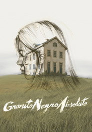 Granito Negro Absoluto