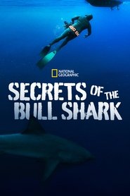 Secrets of the Bull Shark 2020 123movies