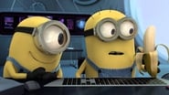 La Folie des Minions : Banana wallpaper 