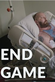 Poster of End Game image size 528x779