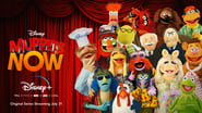 Le Nouveau Muppet Show  