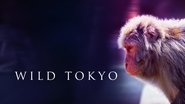 Backdrop of Wild Tokyo image size 1920x1080