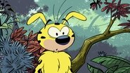 Marsupilami  