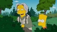 Les Simpson season 28 episode 20